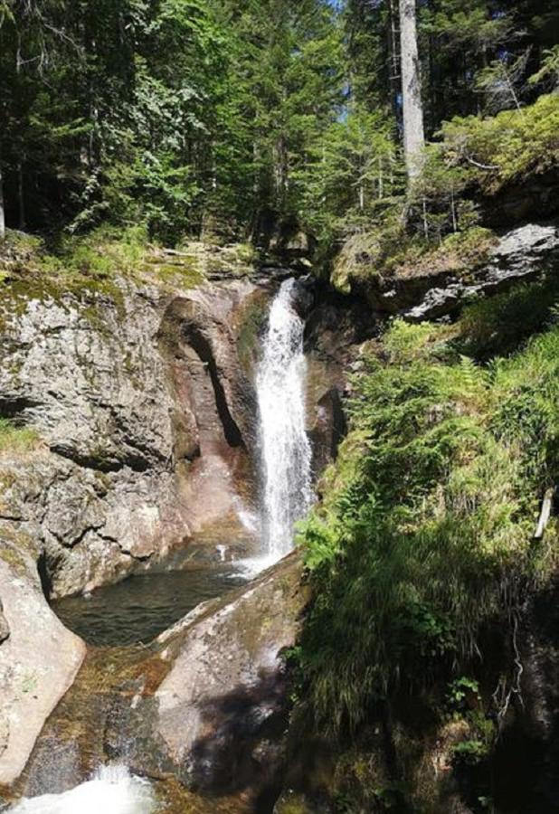 Ferienland Sonnenwald Fewo 46 Und Studio 50 In Schoefweg Bayerischer Wald Экстерьер фото