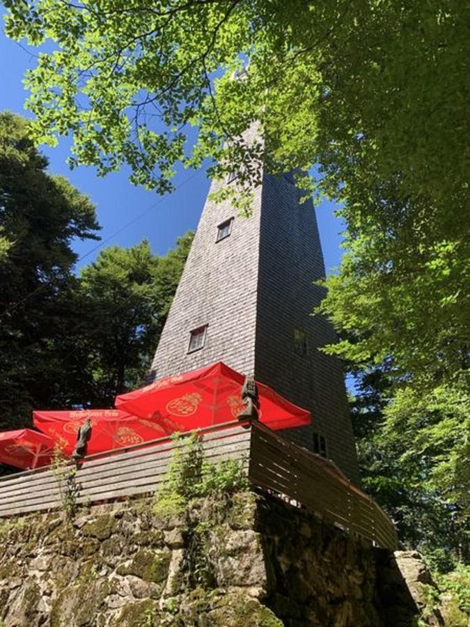 Ferienland Sonnenwald Fewo 46 Und Studio 50 In Schoefweg Bayerischer Wald Экстерьер фото