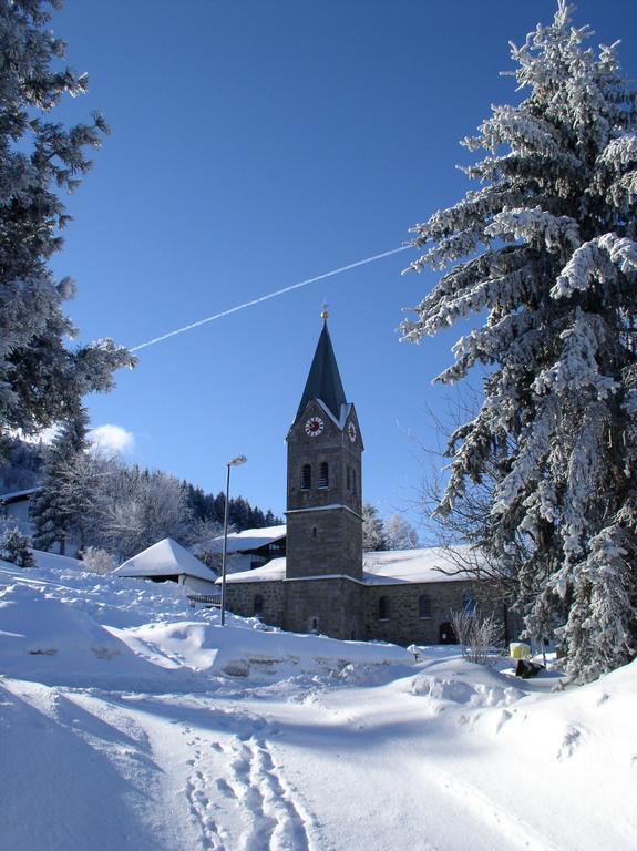Ferienland Sonnenwald Fewo 46 Und Studio 50 In Schoefweg Bayerischer Wald Экстерьер фото