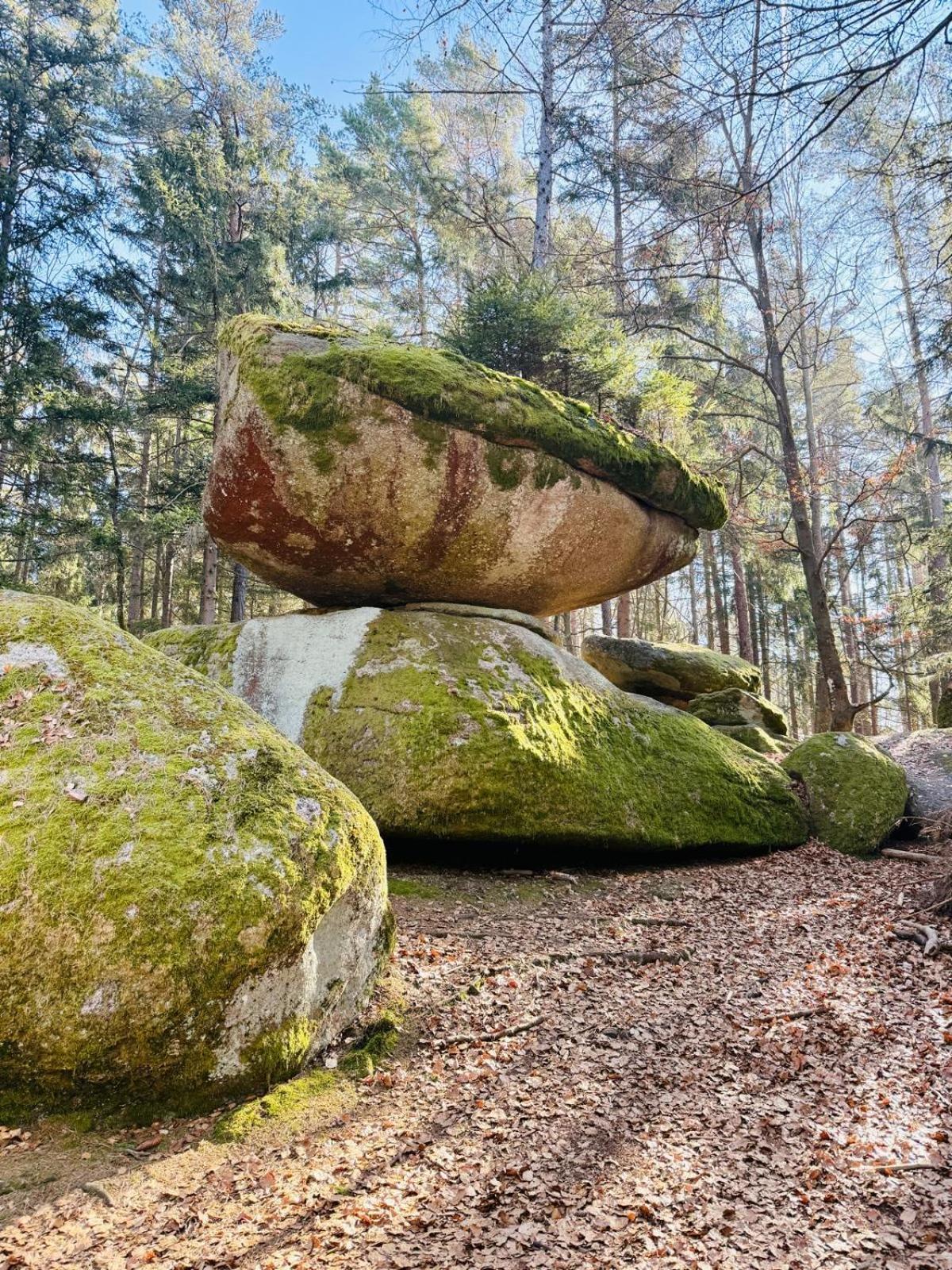 Ferienland Sonnenwald Fewo 46 Und Studio 50 In Schoefweg Bayerischer Wald Экстерьер фото