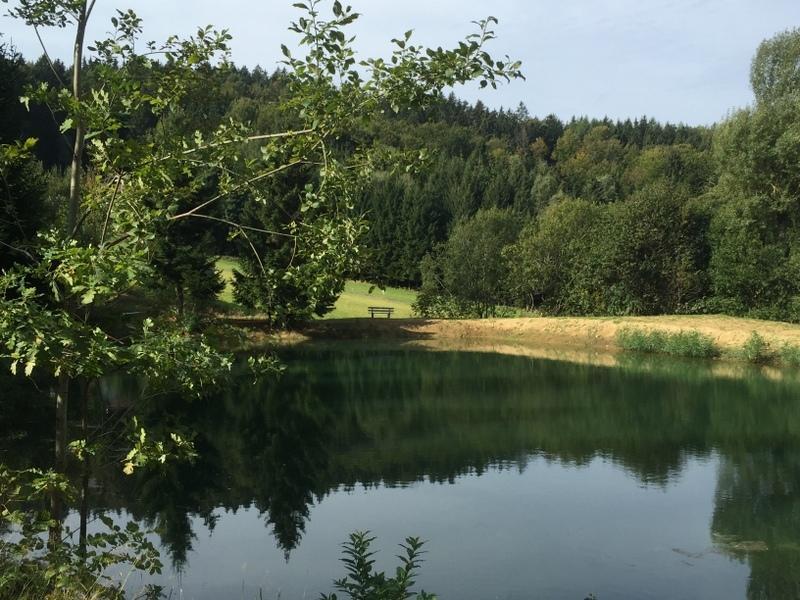 Ferienland Sonnenwald Fewo 46 Und Studio 50 In Schoefweg Bayerischer Wald Экстерьер фото