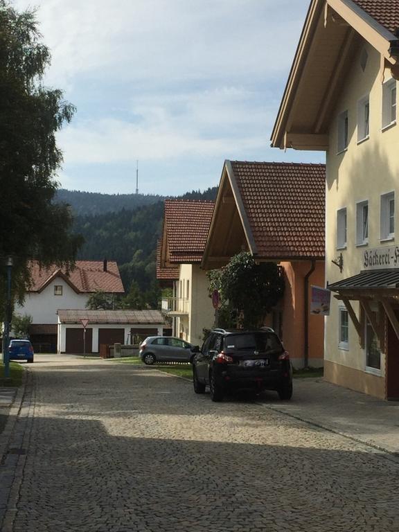 Ferienland Sonnenwald Fewo 46 Und Studio 50 In Schoefweg Bayerischer Wald Номер фото