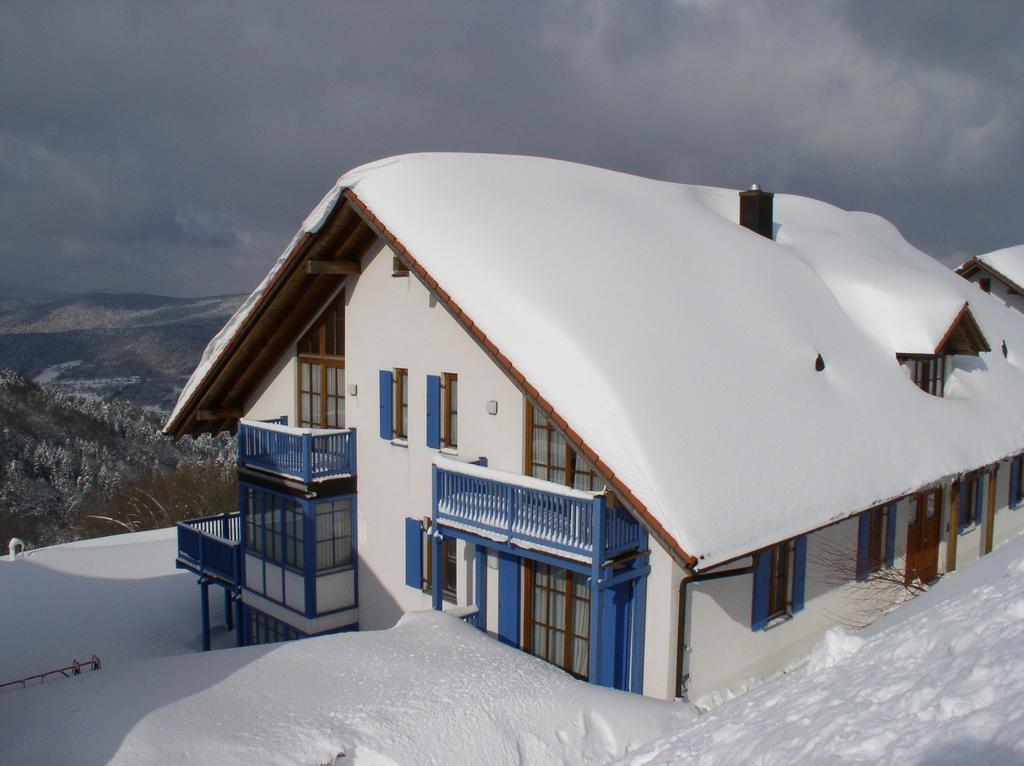 Ferienland Sonnenwald Fewo 46 Und Studio 50 In Schoefweg Bayerischer Wald Экстерьер фото